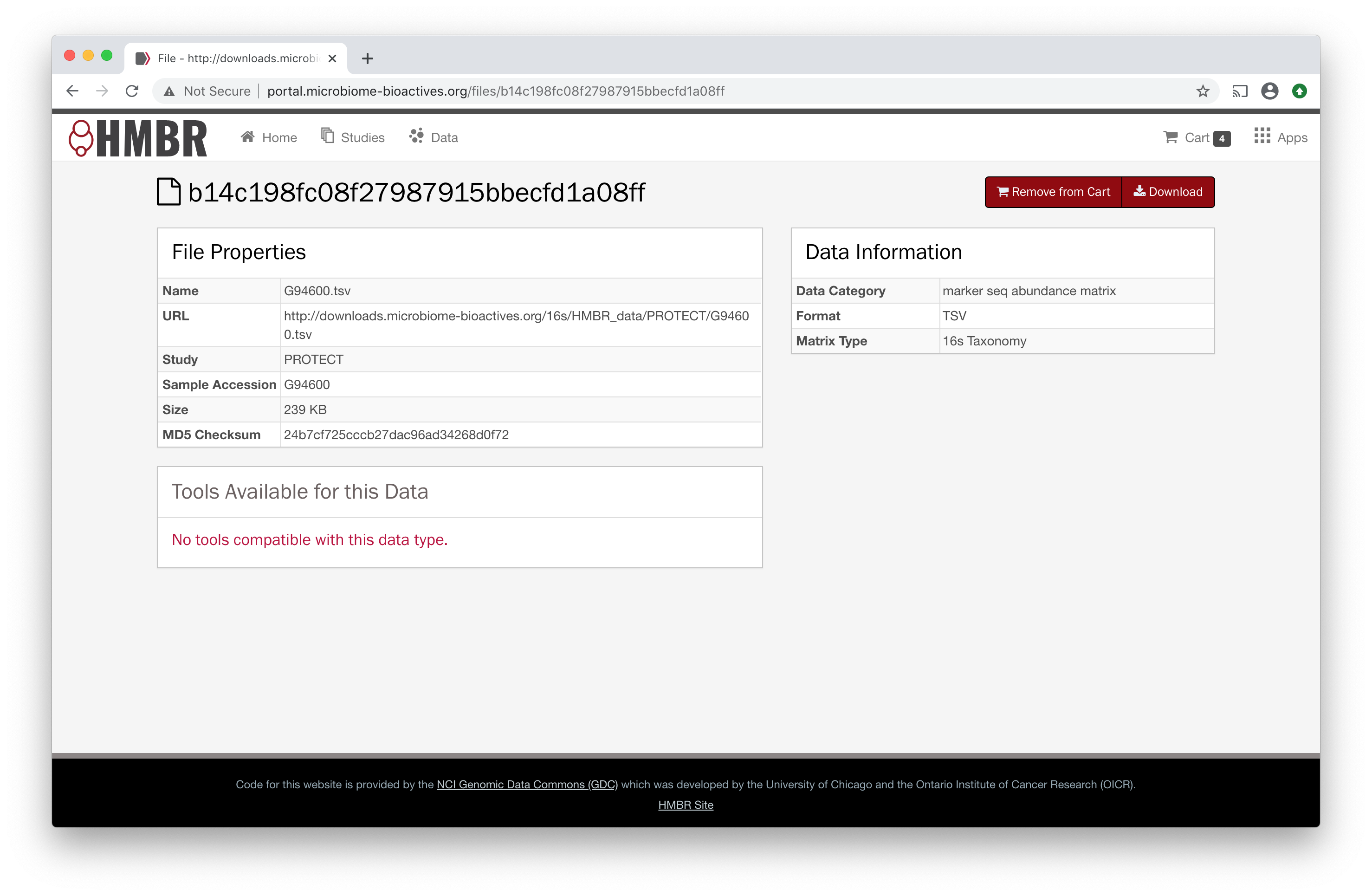 Individual file information